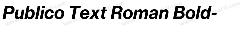 Publico Text Roman Bold字体转换